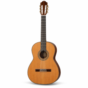 Pro Electric Guitar ST Style